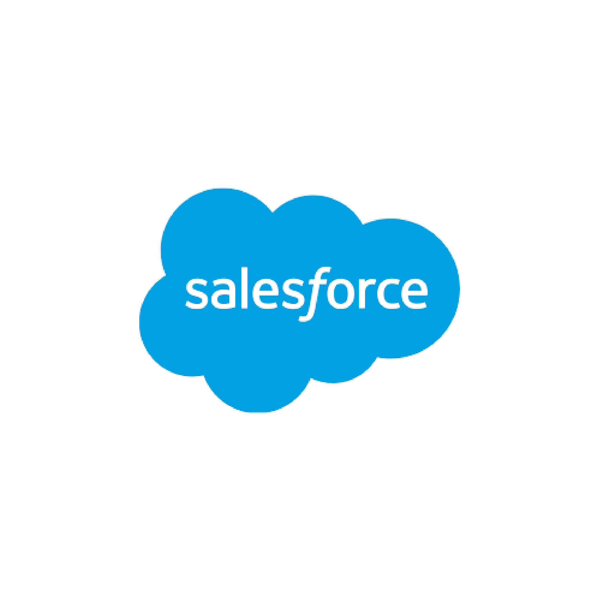 Salesforce logo with white lowercase text inside a bright blue cloud shape